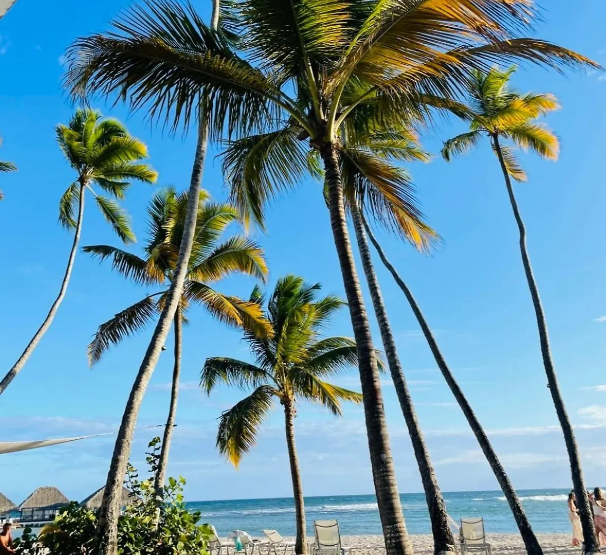 Apartment Juan Dolio, Beach Access 2 Bedroom Apt Salitre Tower Front Of Club Hemingway